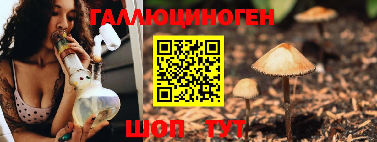 Галлюциногенные грибы мухоморы  Вход с VPN  Прокопьевск  Галлюциногенные грибы мицелий 